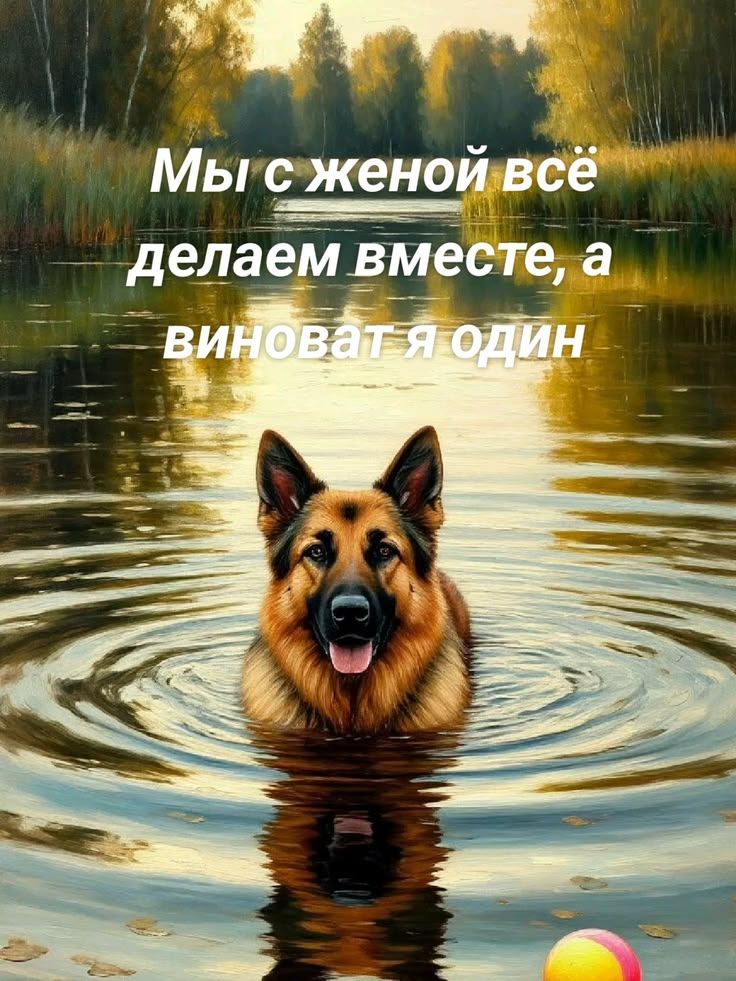 Мы с женой всё делаем вместе, а виноват я один