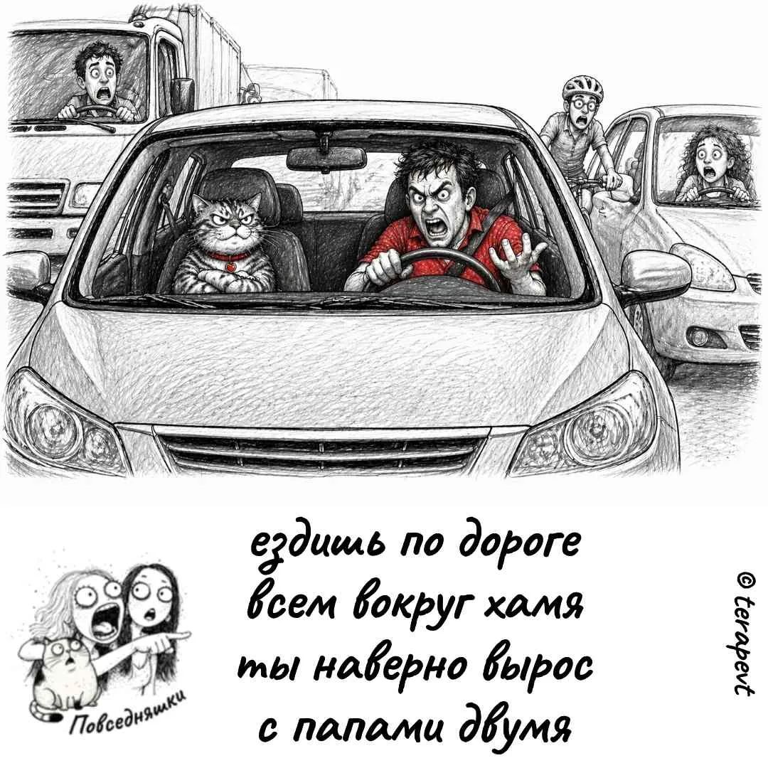 ездишь по дороге всем вокруг хамя ты наверно вырос с папами двумя