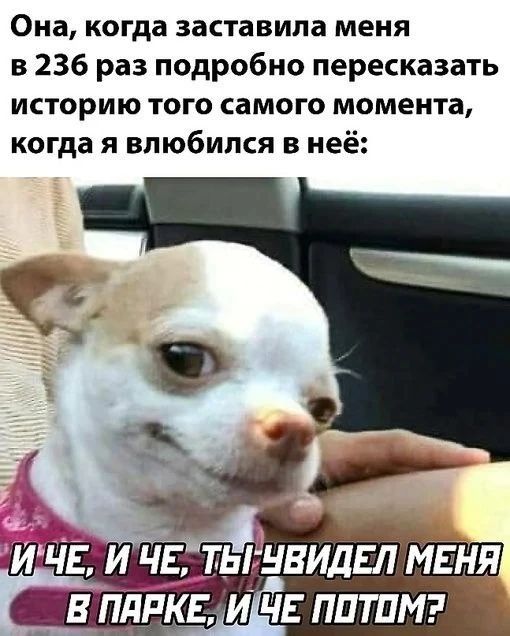 Она, когда заставила меня в 236 раз подробно пересказать историю того самого момента, когда я влюбился в неё: И че, и че, ты увидел меня в парке, и че потом?