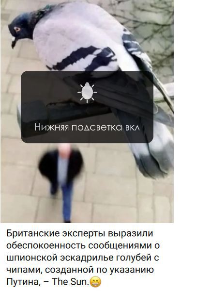 Нижняя подсветка вкл. Британские эксперты выразили обеспокоенность сообщениями о шпионской эскадрилье голубей с чипами, созданной по указанию Путина, – The Sun. 😁