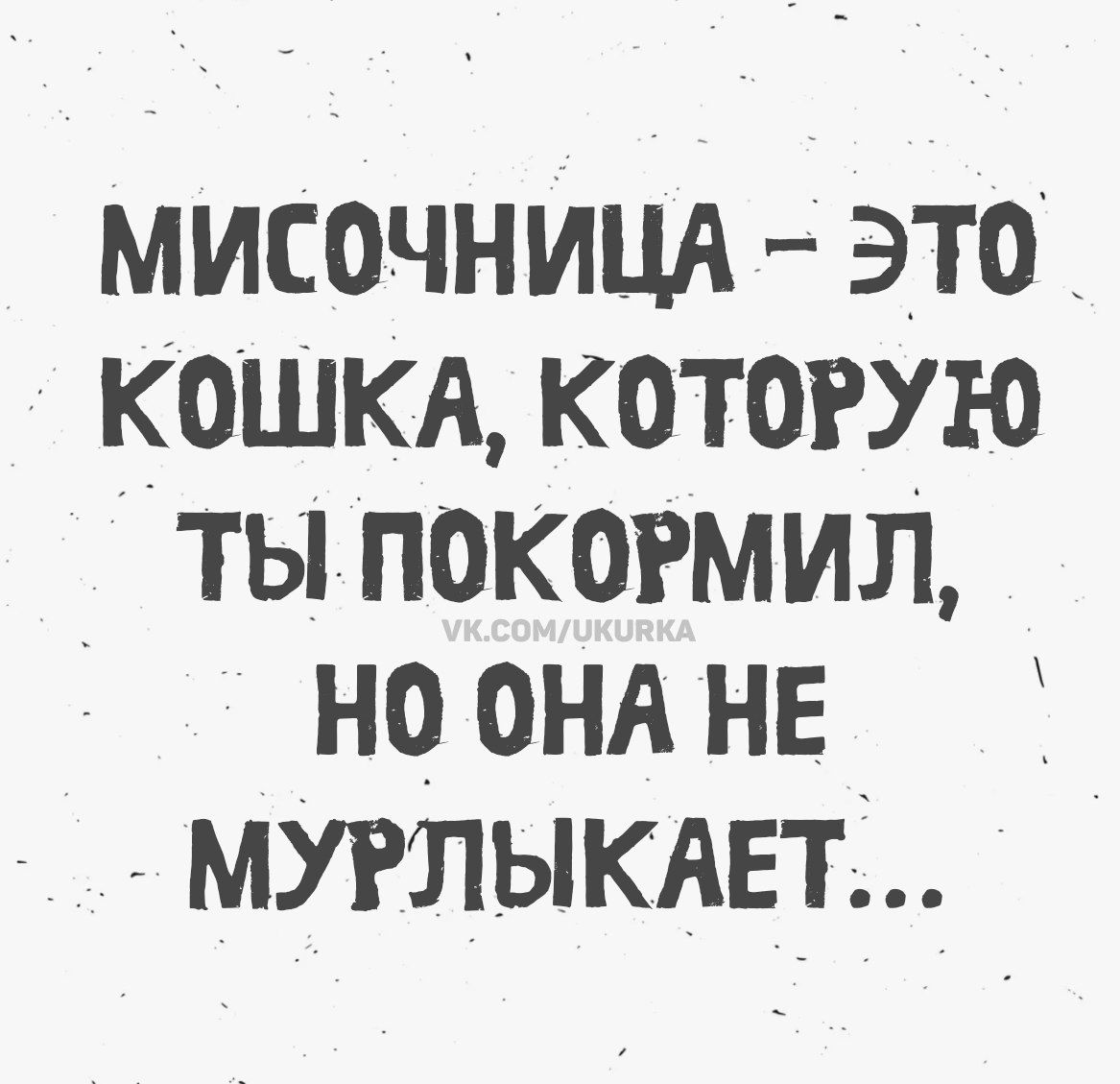 МИСОЧНИЦА – ЭТО КОШКА, КОТОРУЮ ТЫ ПОКОРМИЛ, НО ОНА НЕ МУРЛЫКАЕТ... vk.com/ukurka