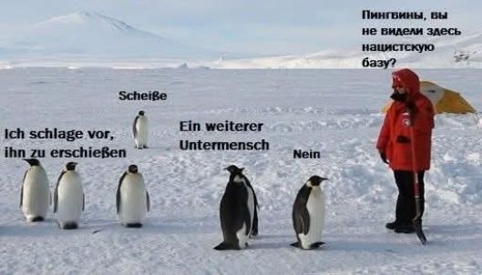Пингвины, вы не видели здесь нацистскую базу? Scheiße. Ich schlage vor, ihn zu erschießen. Ein weiterer Untermensch. Nein.