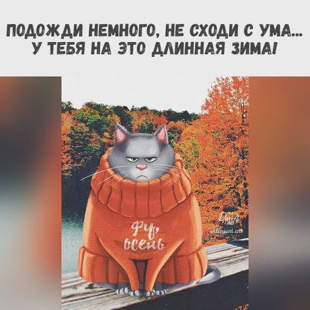 Подожди немного, не сходи с ума... У тебя на это длинная зима! Фу, осень