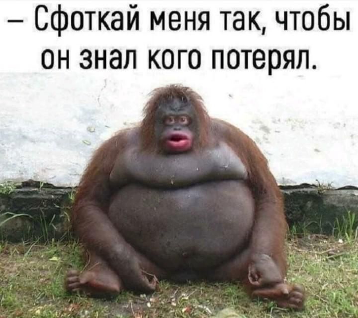 — Сфоткай меня так, чтобы он знал кого потерял.