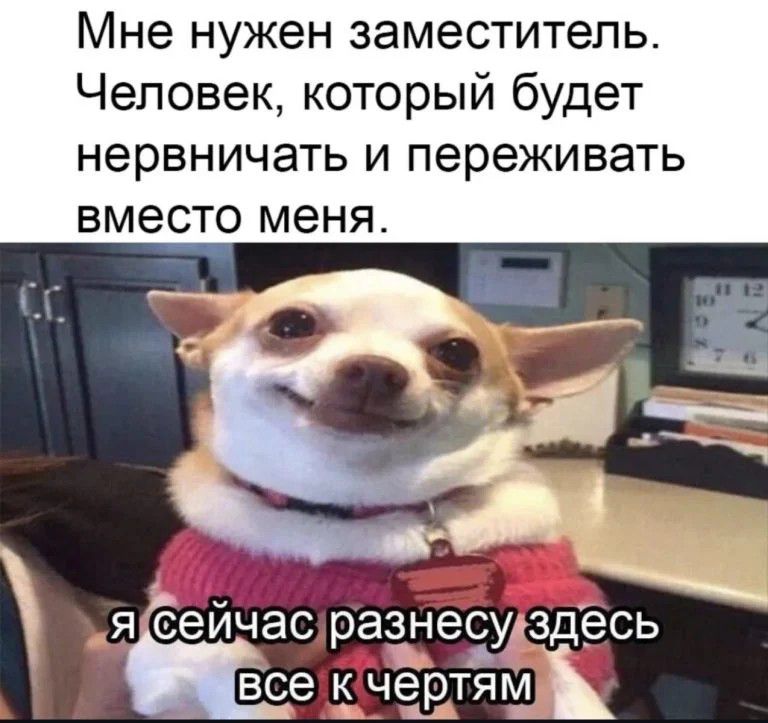 Мне нужен заместитель. Человек, который будет нервничать и переживать вместо меня. Я сейчас разнесу здесь все к чертям