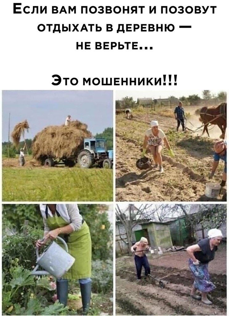 Если вам позвонят и позовут отдыхать в деревню — не верьте... Это мошенники!!!