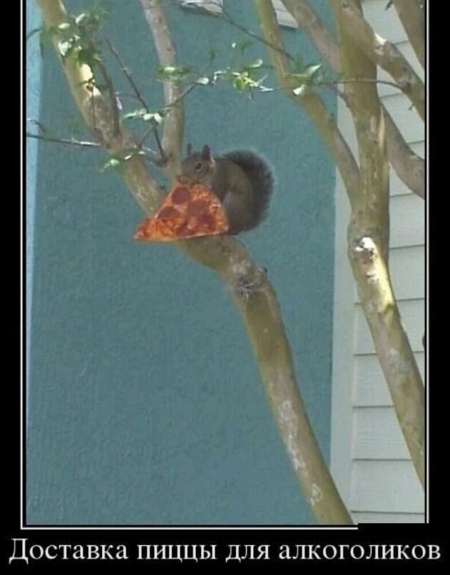 Доставка пищи для алкоголиков