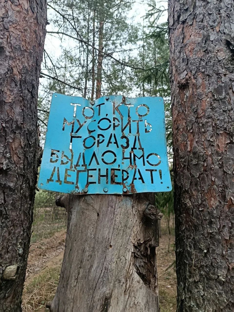 ТОТ, КТО МУСОРИТ ГОРАЗД БЫДЛО, НМО ДЕГЕНЕРАТ!