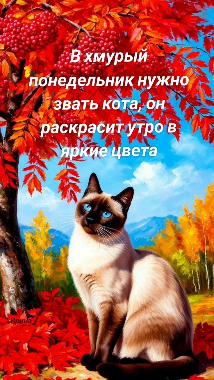 В хмурый понедельник нужно звать кота, он раскрасит утро в яркие цвета