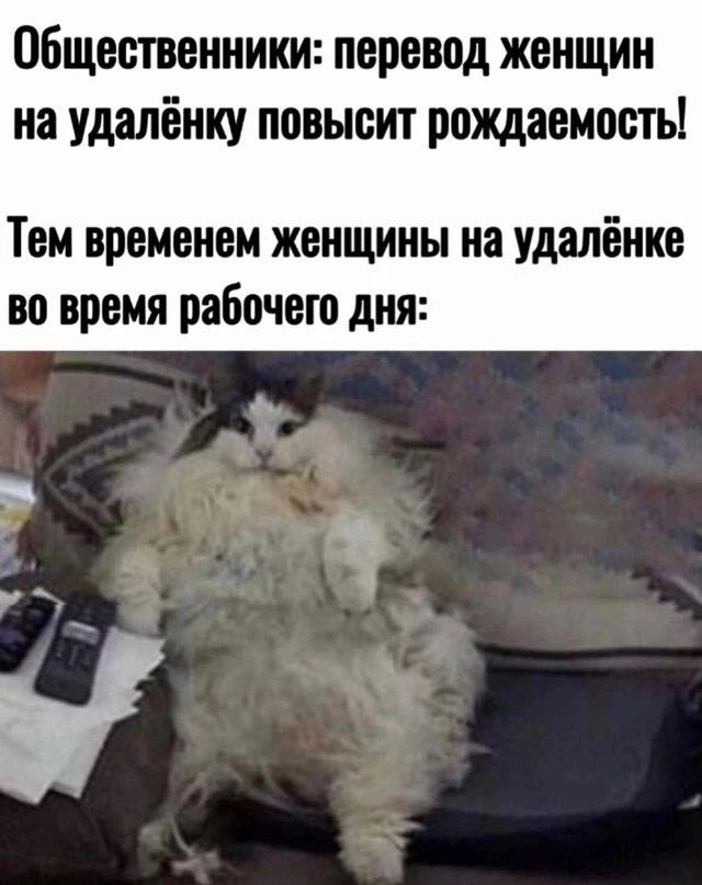 Общественники: перевод женщин на удалёнку повысит рождаемость! Тем временем женщины на удалёнке во время рабочего дня:
