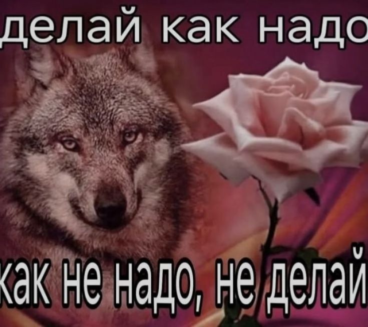 делай как надо как не надо, не делай