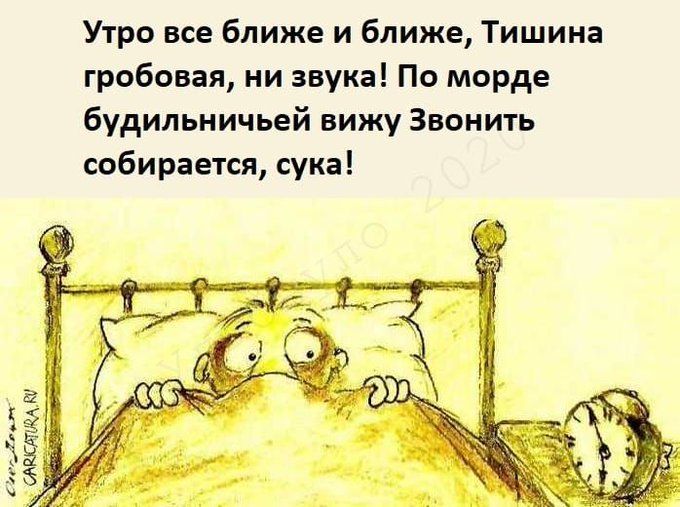 Утро все ближе и ближе, Тишина гробовая, ни звука! По морде будильничьей вижу Звонить собирается, сука!