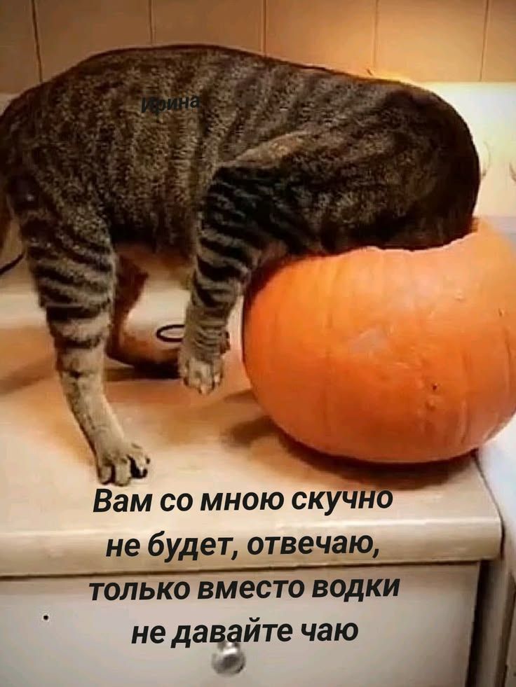Ирина. Вам со мною скучно не будет, отвечаю, только вместо водки не давайте чаю