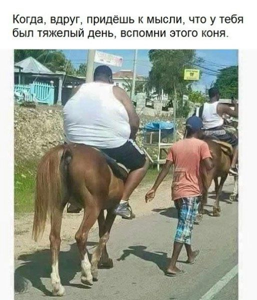 Когда, вдруг, придешь к мысли, что у тебя был тяжелый день, вспомни этого коня.