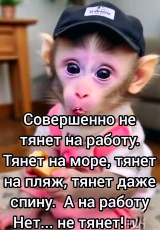 Совершенно не тянет на работу. Тянет на море, тянет на пляж, тянет даже спину. А на работу Нет... не тянет!