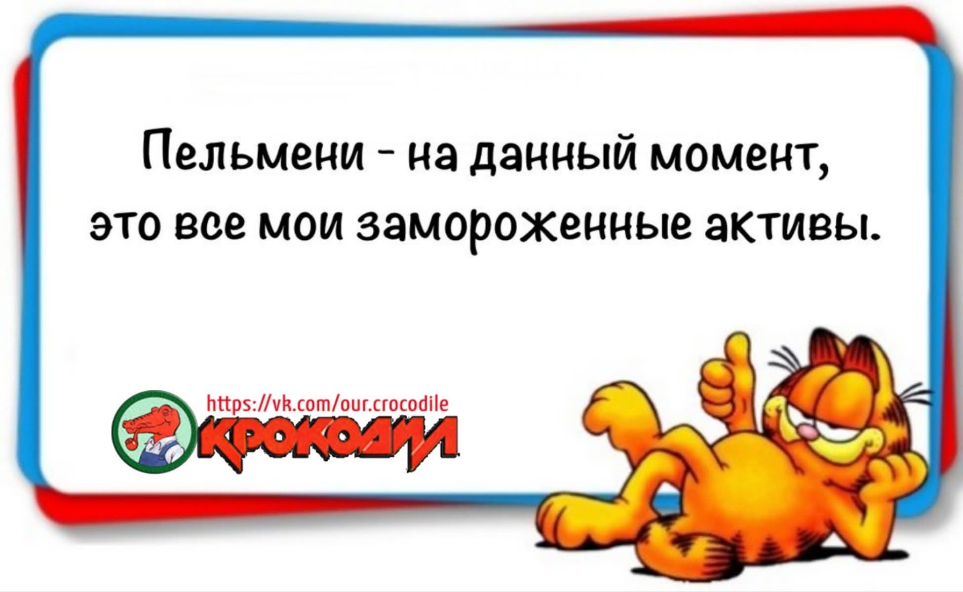 Пельмени - на данный момент, это все мои замороженные активы.