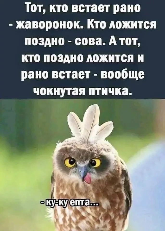 Тот, кто встает рано - жаворонок. Кто ложится поздно - сова. А тот, кто поздно ложится и рано встает - вообще чокнутая птичка. -ку-ку епта...