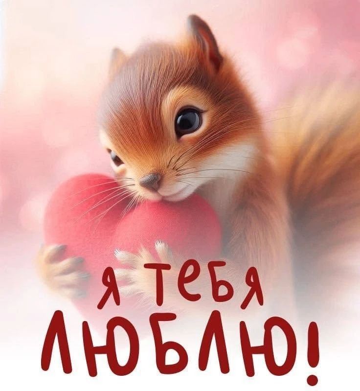 Я тебя люблю!