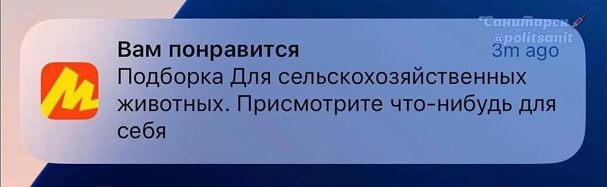 Вам понравится Подборка Для сельскохозяйственных животных. Присмотрите что-нибудь для себя