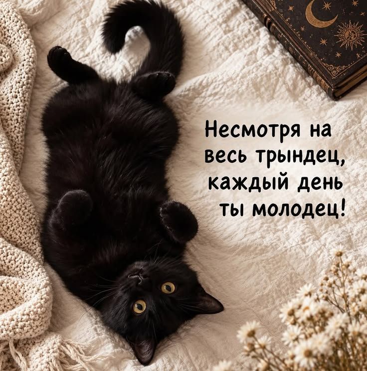 Несмотря на весь трындец, каждый день ты молодец!