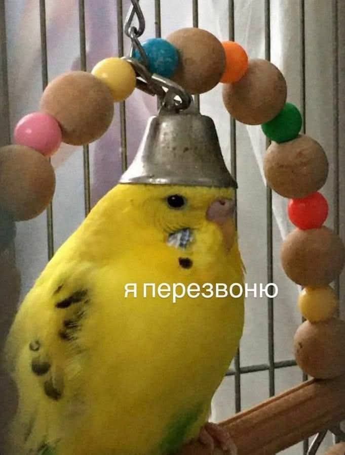 я перезвоню