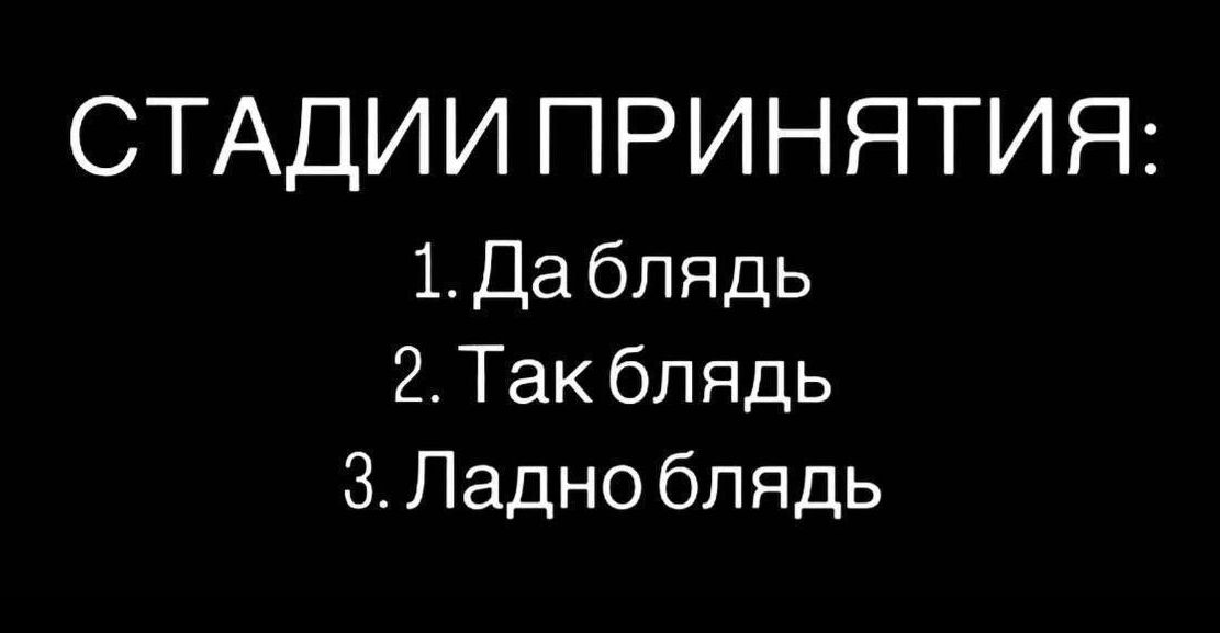 СТАДИИ ПРИНЯТИЯ: 1. Да блядь 2. Так блядь 3. Ладно блядь