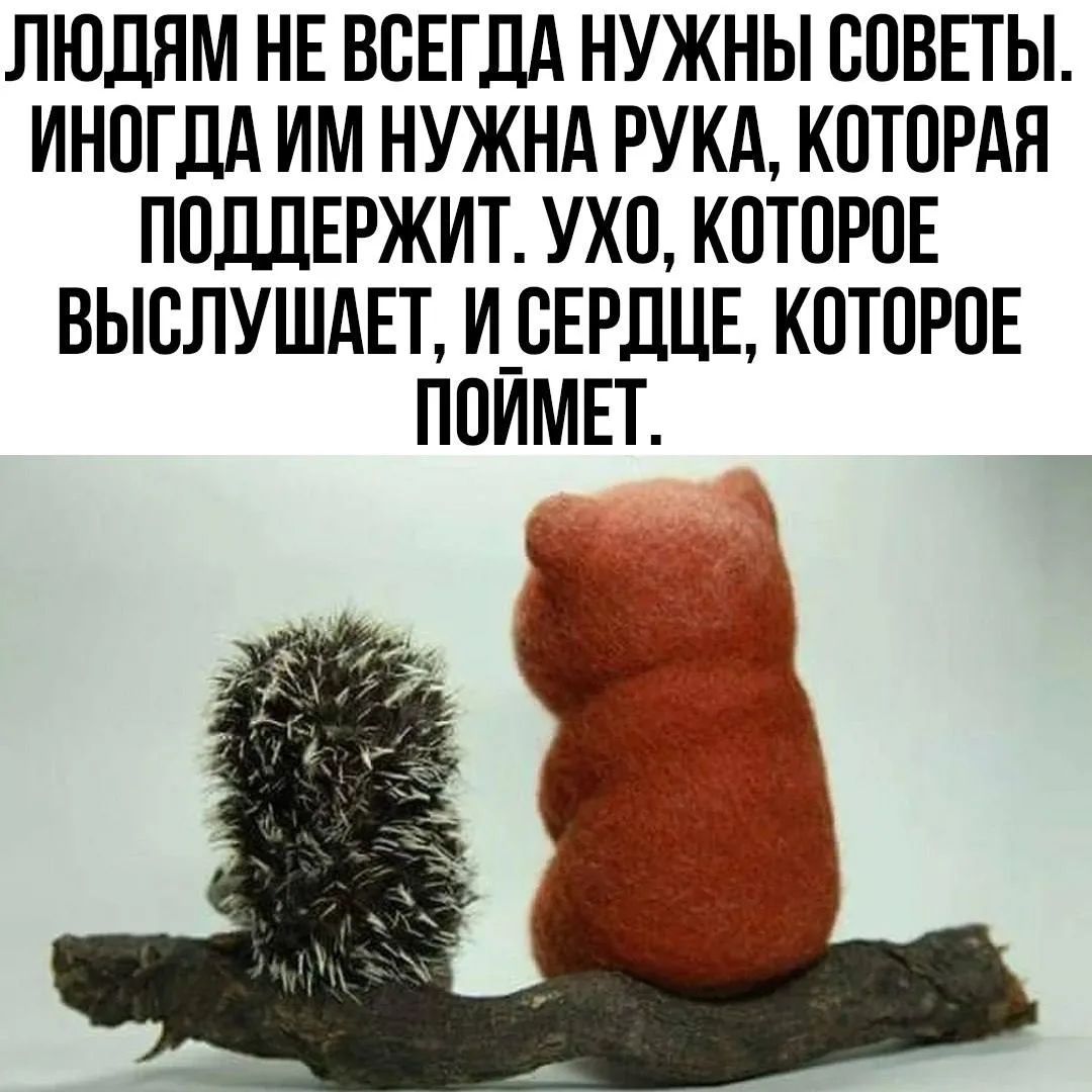 ЛЮДЯМ НЕ ВСЕГДА НУЖНЫ СОВЕТЫ. ИНОГДА ИМ НУЖНА РУКА, КОТОРАЯ ПОДДЕРЖИТ. УХО, КОТОРОЕ ВЫСЛУШАЕТ, И СЕРДЦЕ, КОТОРОЕ ПОЙМЕТ.