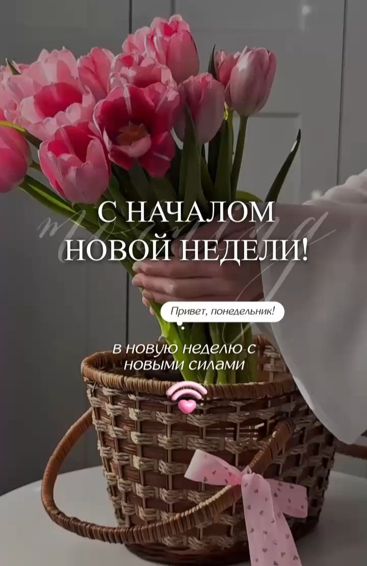 С НАЧАЛОМ НОВОЙ НЕДЕЛИ! Привет, понедельник! В новую неделю с новыми силами