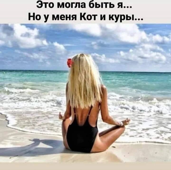 Это могла быть я... Но у меня Кот и куры...