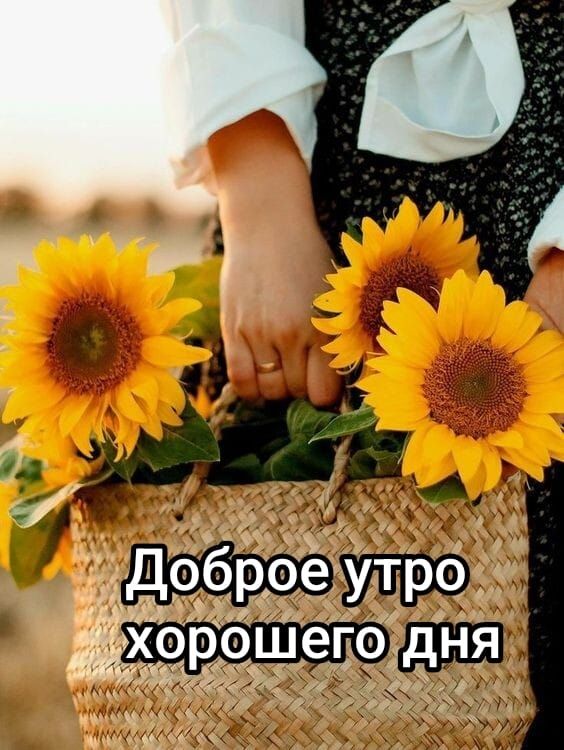 Доброе утро хорошего дня