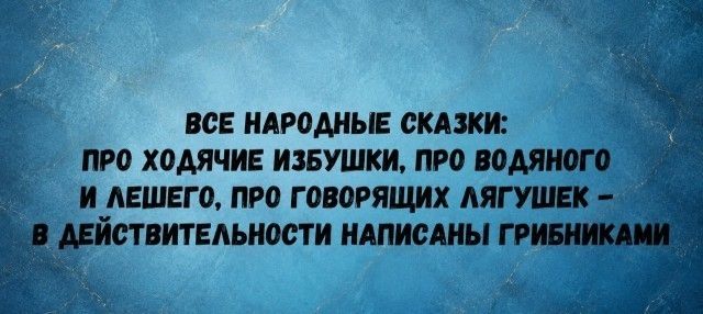 ВСЕ НАРОДНЫЕ СКАЗКИ: ПРО ХОДЯЧИЕ ИЗБУШКИ, ПРО ВОДЯНОГО И ЛЕШЕГО, ПРО ГОВОРЯЩИХ ЛЯГУШЕК – В ДЕЙСТВИТЕЛЬНОСТИ НАПИСАНЫ ГРИБНИКАМИ