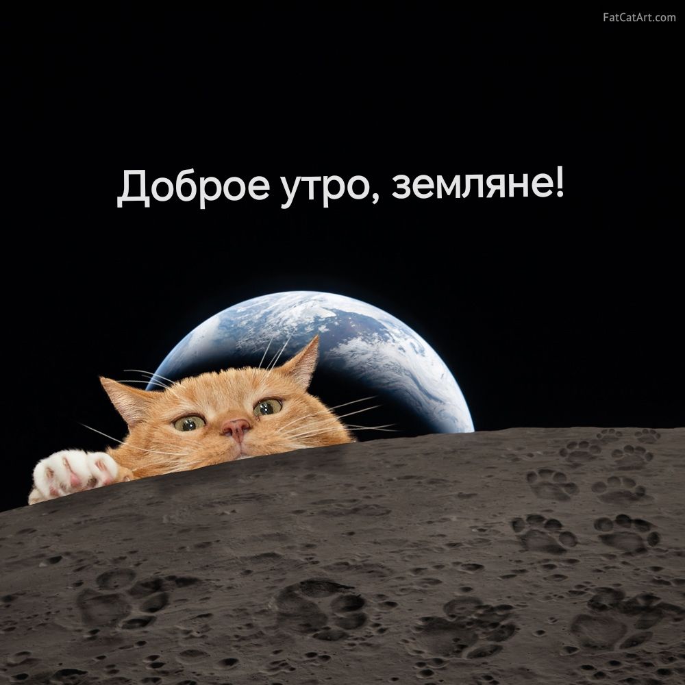 Доброе утро, земляне!