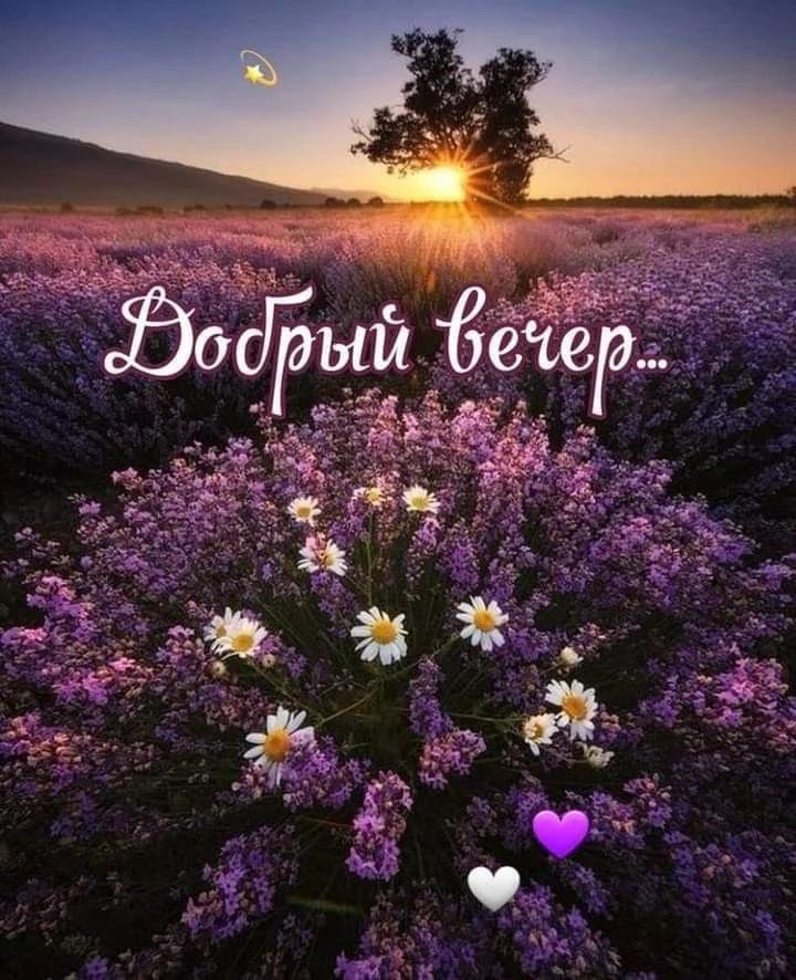 Добрый вечер...
