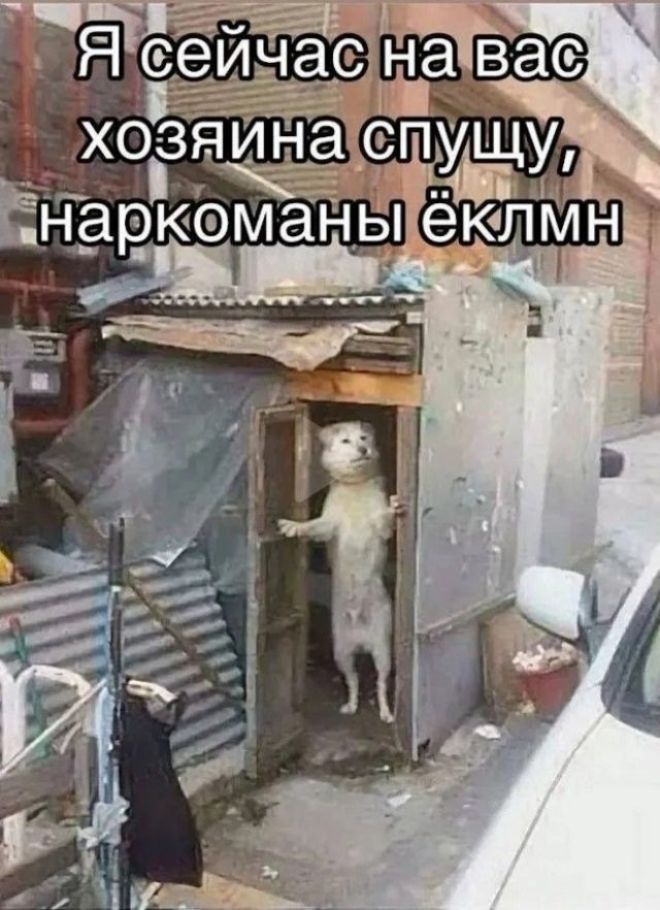 Я сейчас на вас хозяина спущу, наркоманы ёклмн