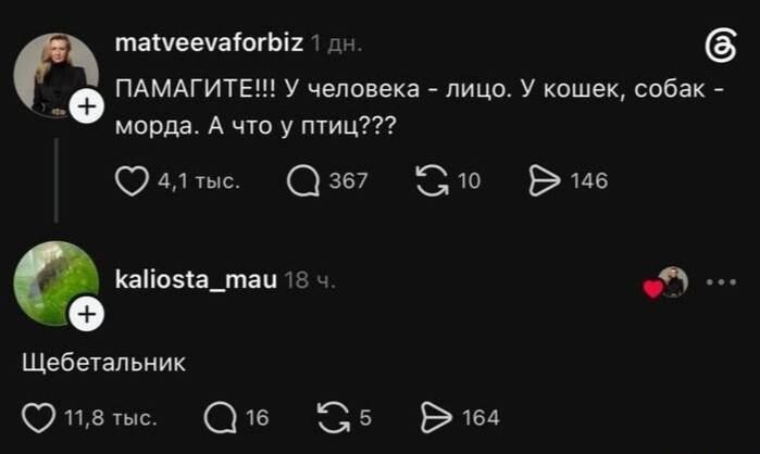 ПАМАГИТЕ!!! У человека - лицо. У кошек, собак - морда. А что у птиц??? Щебетальник