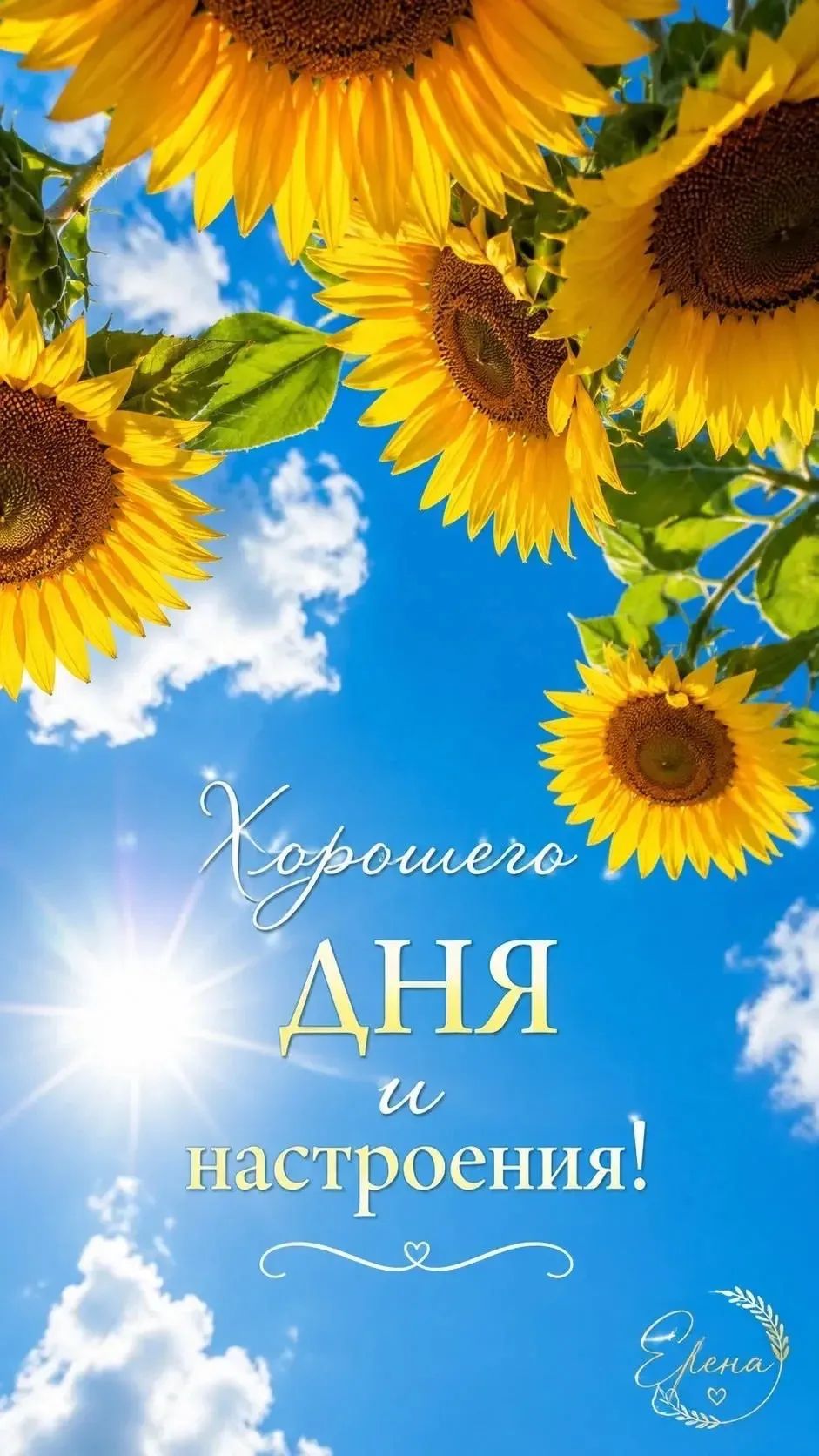 Хорошего дня и настроения!