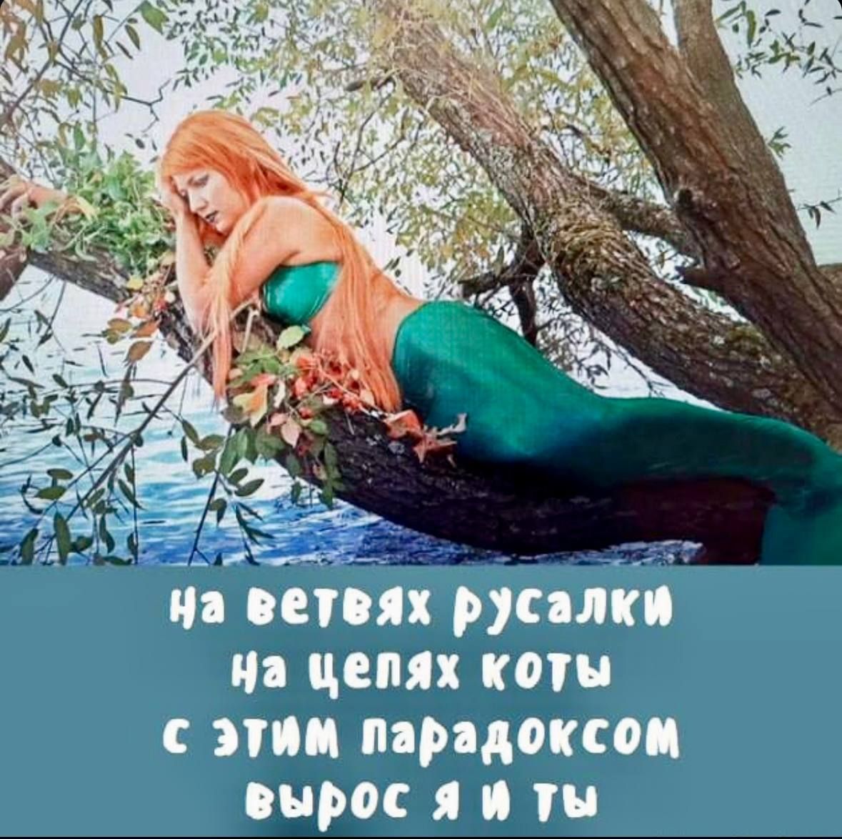на ветвях русалки на цепях коты с этим парадоксом вырос я и ты