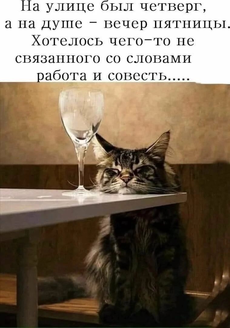 На улице был четверг, а на душе — вечер пятницы. Хотелось чего-то не связанного со словами работа и совесть.....