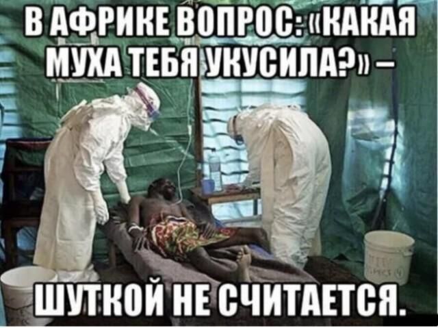 В АФРИКЕ ВОПРОС: «КАКАЯ МУХА ТЕБЯ УКУСИЛА?» – ШУТКОЙ НЕ СЧИТАЕТСЯ.