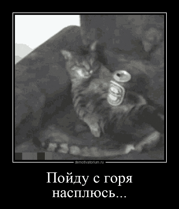 Пойду с горя насплюсь... demotivatorium.ru