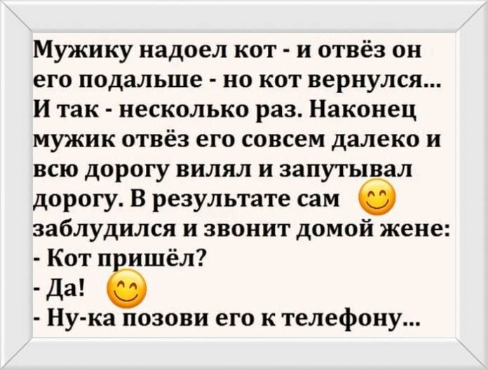 Мужику надоел кот - и отвёз он его подальше - но кот вернулся... И так - несколько раз. Наконец мужик отвёз его совсем далеко и всю дорогу вилял и запутывал дорогу. В результате сам 😊 заблудился и звонит домой жене: - Кот пришёл? - Да! 😊 - Ну-ка позови его к телефону...