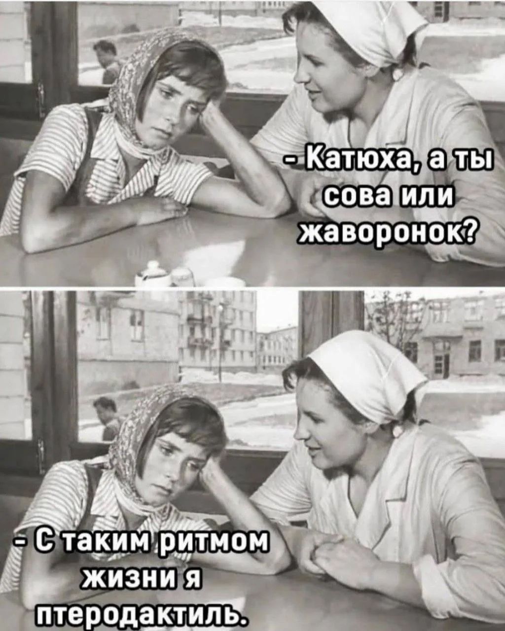 - Катюха, а ты сова или жаворонок? - С таким ритмом жизни я птеродактиль.