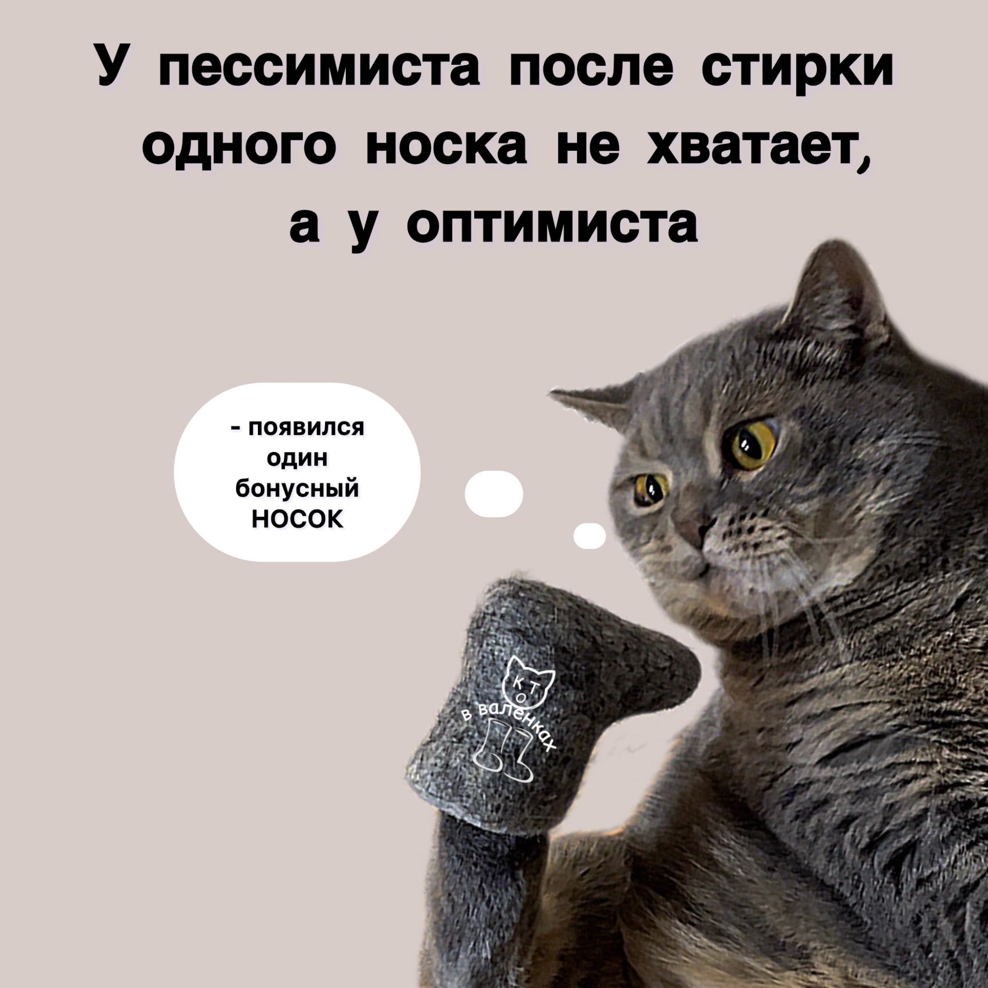 У пессимиста после стирки одного носка не хватает, а у оптимиста - появился один бонусный носок