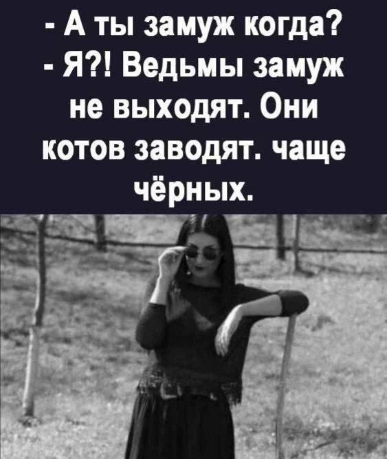 - А ты замуж когда?
- Я?! Ведьмы замуж не выходят. Они котов заводят. чаще чёрных.