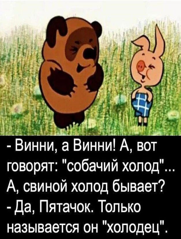 Винни, а Винни! А, вот говорят: 
