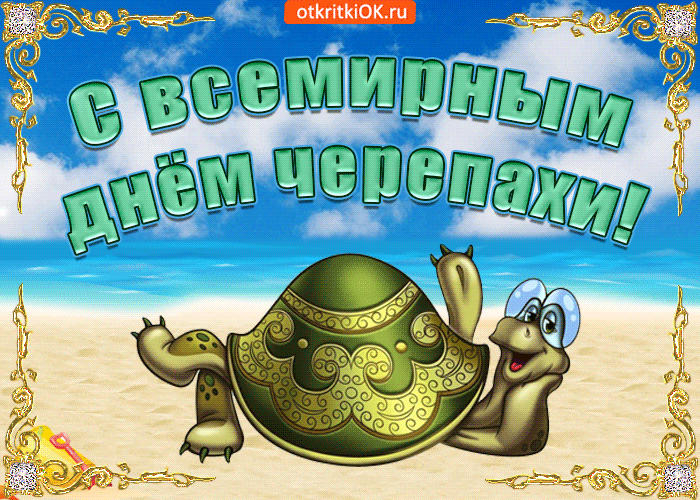 С ВСЕМИРНЫМ ДНЁМ ЧЕРЕПАХИ!