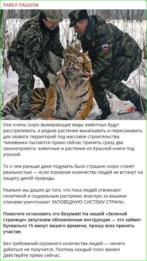 ПАВЕЛ ПАШКОВ
Уже очень скоро вымирающие виды животных будут расстреливать, а редкие растения выкапывать и пересаживать для захвата территорий под массовое строительство. Чиновники пытаются прямо сейчас принять сразу два законопроекта: животные и растения из Красной книги под угрозой.
То о чем раньше даже подумать было страшно скоро станет