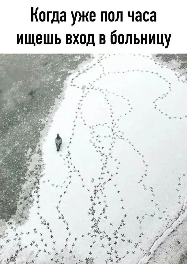 Когда уже пол часа ищешь вход в больницу