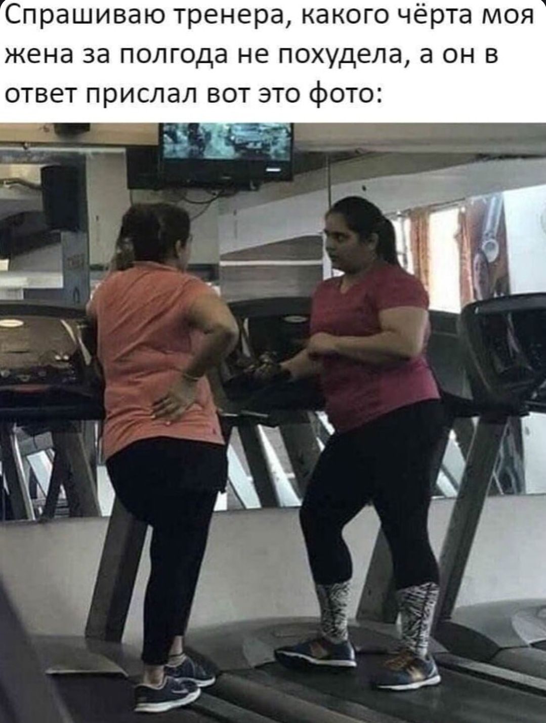 Спрашиваю тренера, какого чёрта моя жена за полгода не похудела, а он в ответ прислал вот это фото: