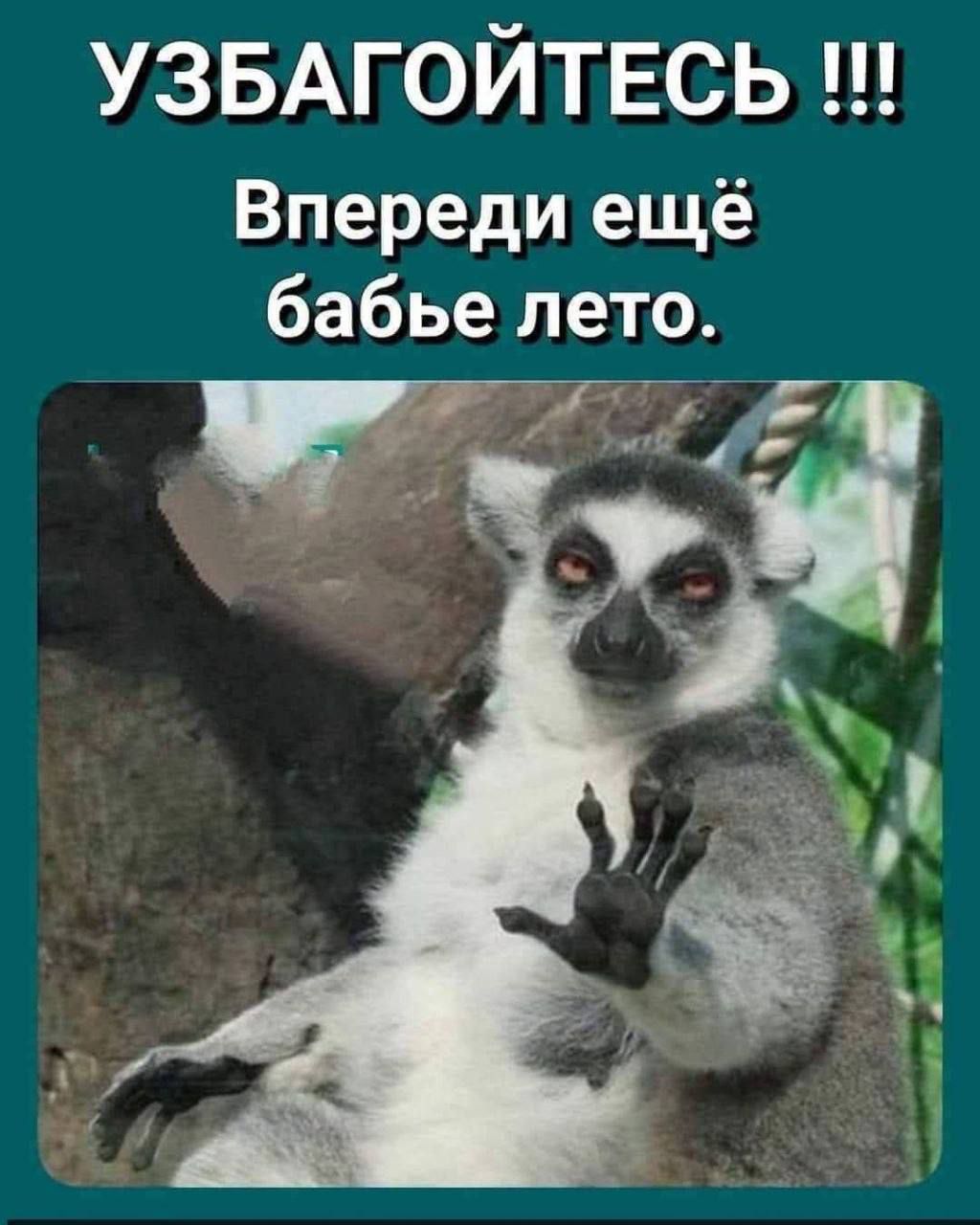 УЗБАГОЙТЕСЬ !!! Впереди ещё бабье лето.